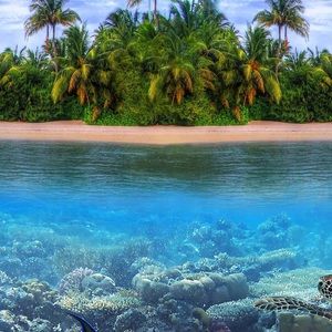 Meet your Posher, Roberto